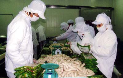 Công nghiệp đầu tư nước ngoài Vượt qua khó khăn khẳng định thế mạnh